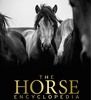 Thumbnail The Horse Encyclopedia Thumbnail The Horse Encyclopedia