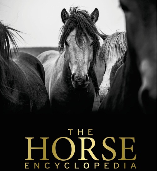 Product picture The Horse Encyclopedia